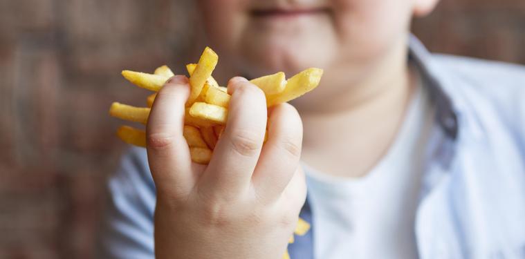 Factores de riesgo obesidad infantil