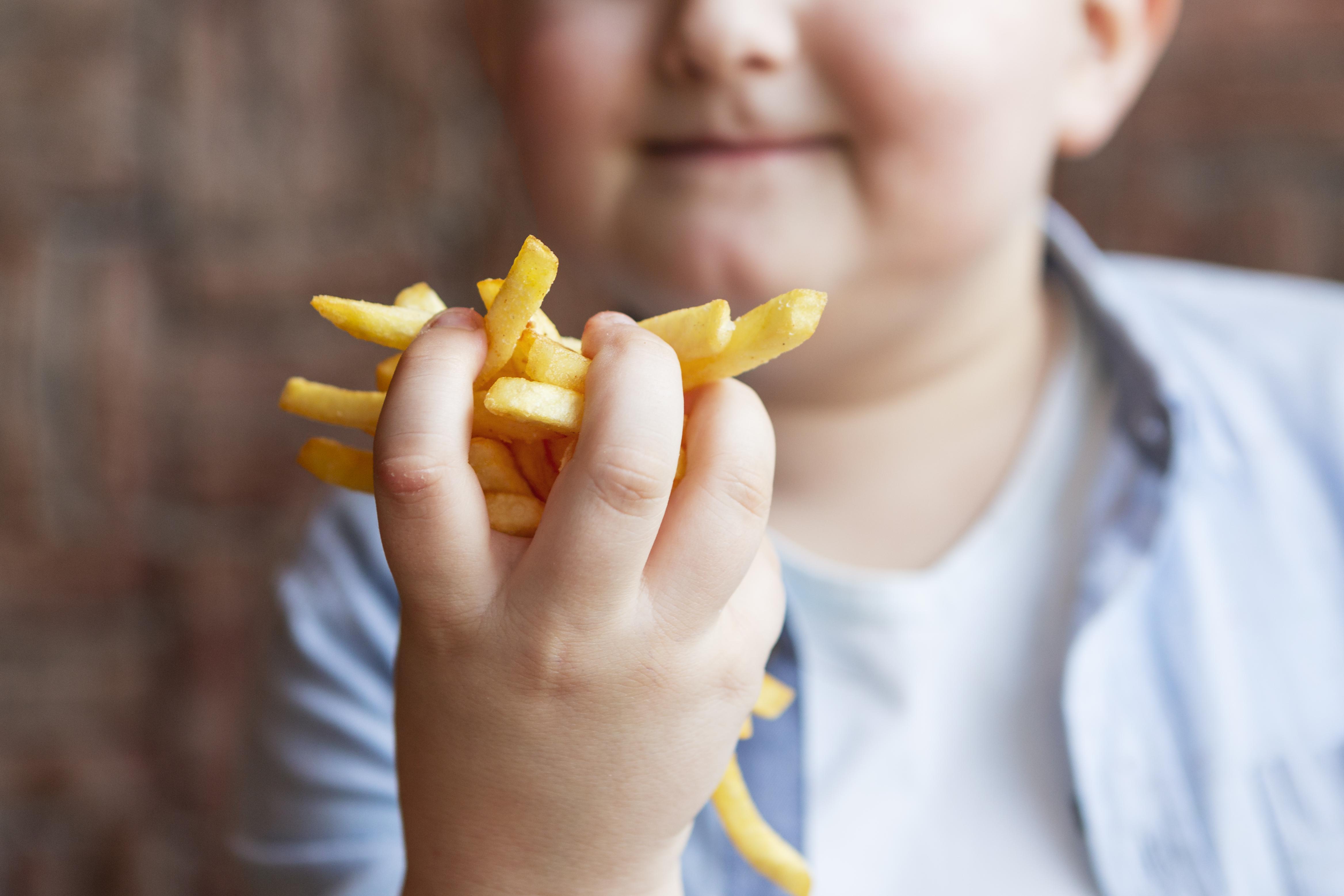 Factores de riesgo obesidad infantil