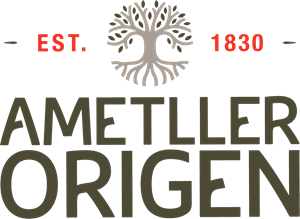 FC Ametller Origen