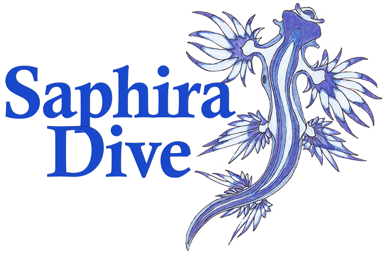 FC Saphira dive logo