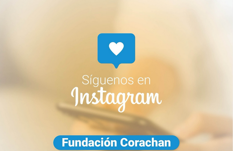 FC Instagram