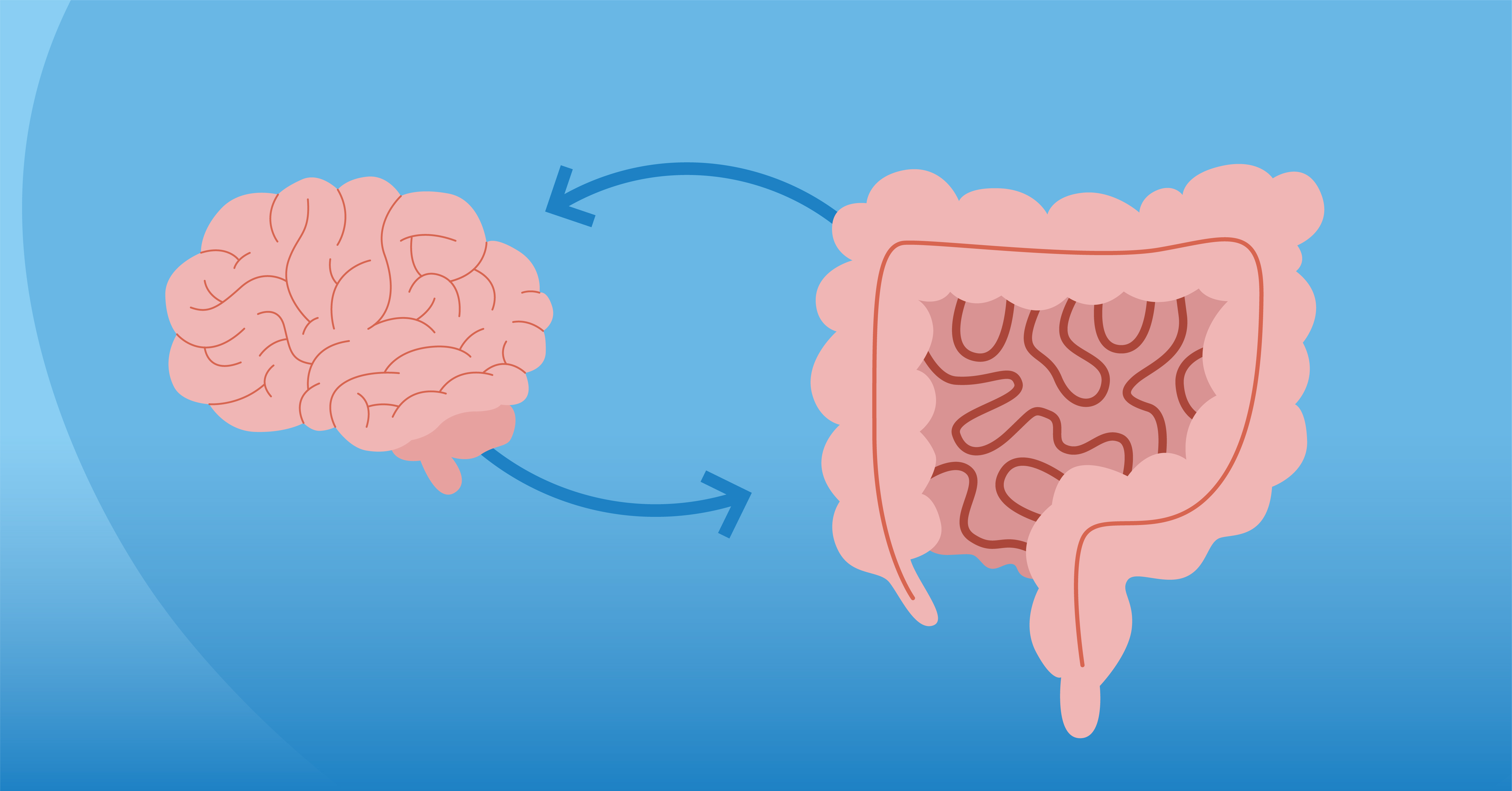 La sorprendente conexión entre el estómago y el cerebro: lo que necesitas saber