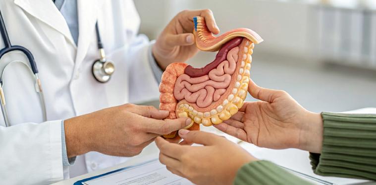 Endoscòpia digestiva alta: què permet detectar