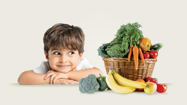 Conferències sobre nutrició infantil