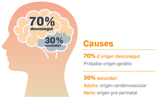 Causa epilepsia