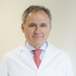 Dr. Ramon Ros Vallverdu