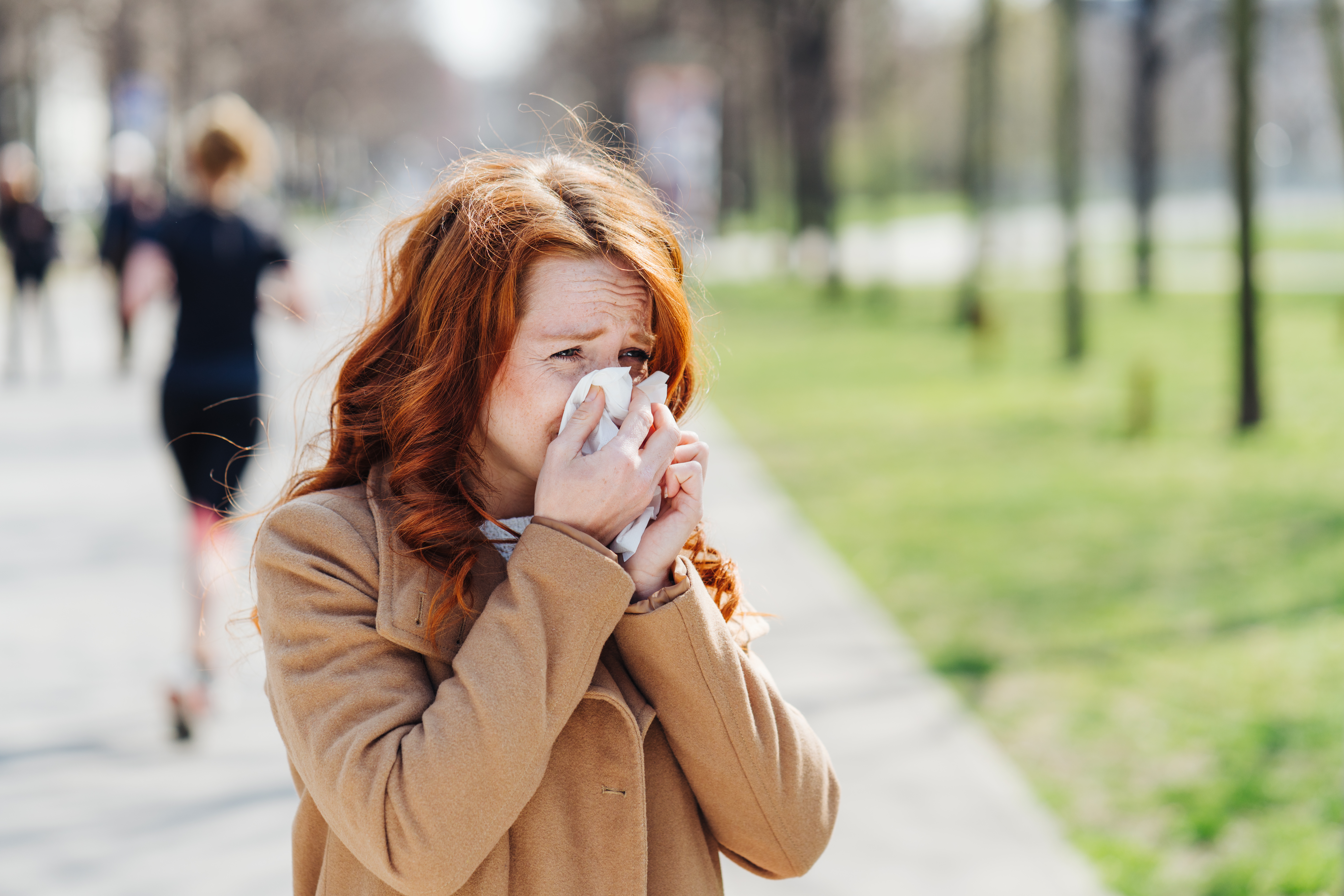 Alergia al polen: causas, síntomas y prevención